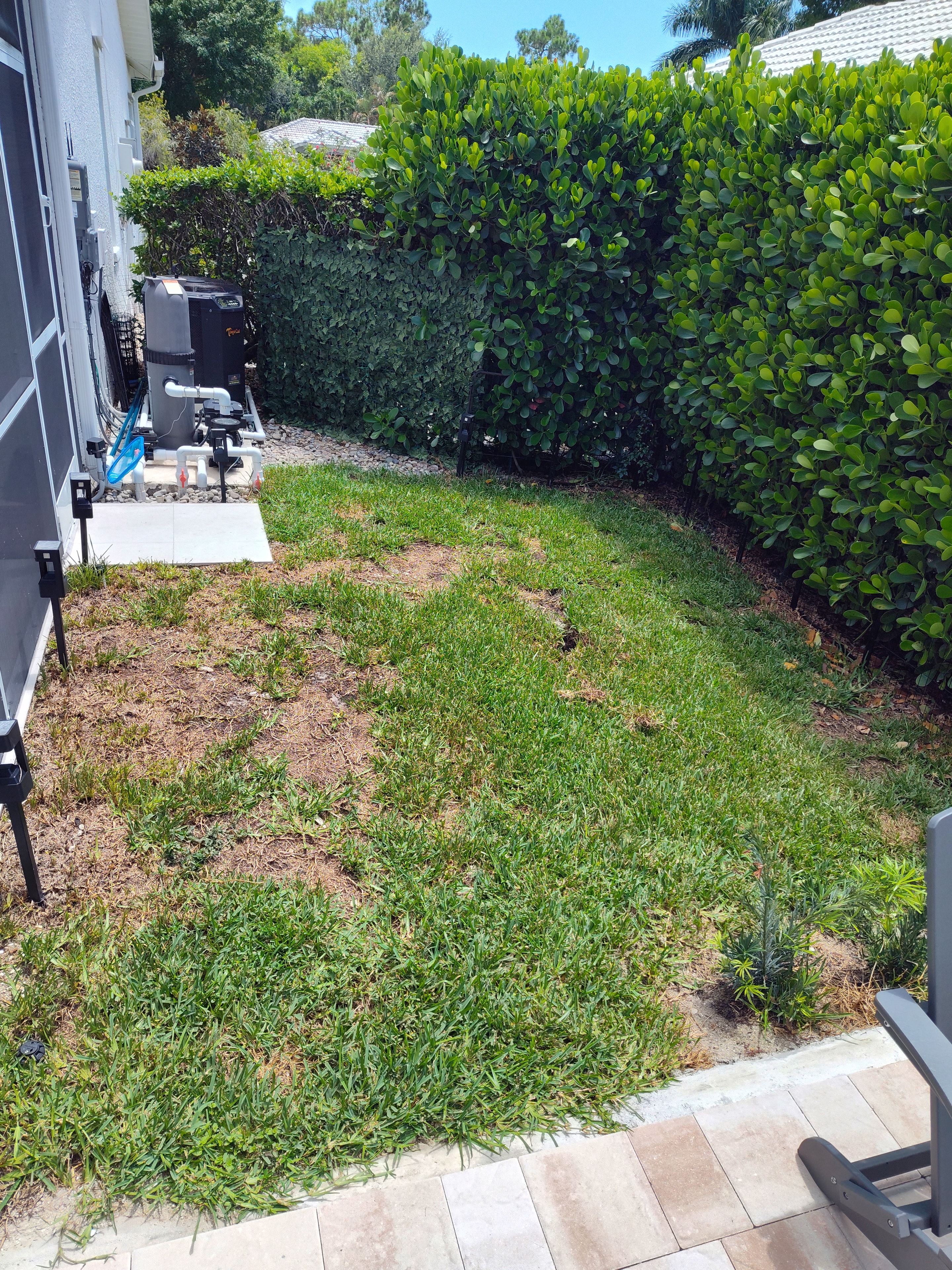South Florida Pup Turf — Before